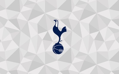 U游体育精华-伊朗队战术核心受伤世界杯悬了