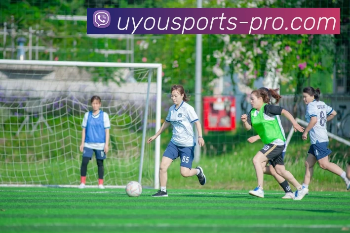 优游体育平台生态图