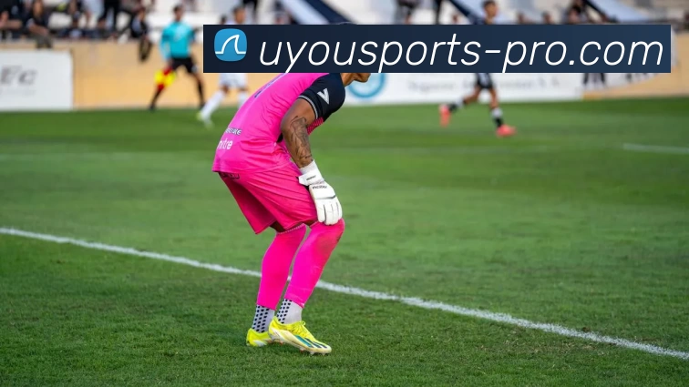 优游体育APP 封面图